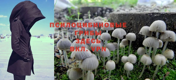дурь Семилуки