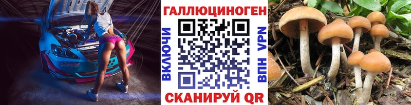 Псилоцибиновые грибы Psilocybine cubensis  Весьегонск 